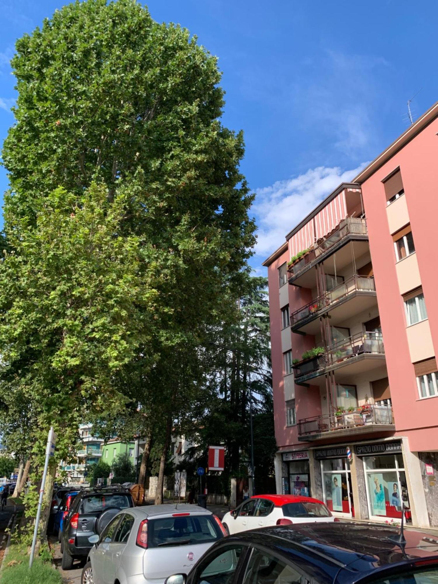 Tri Apartment Brescia Exterior foto